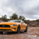 Image for article titled I Am a Mustang Woman Now